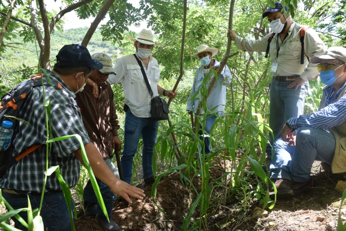 Agricultores de Zacapa ven resultados positivos del proyecto Adaptación al Cambio Climático